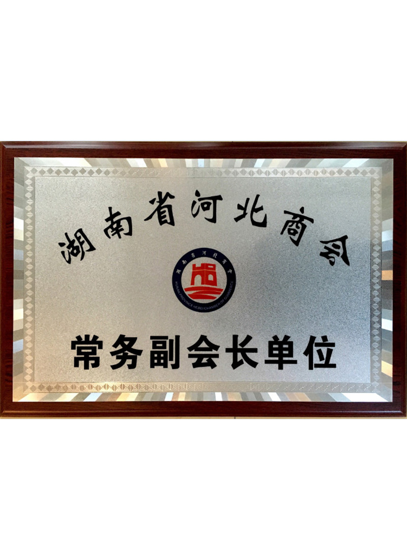 湖南省河北商會(huì)常務(wù)副會(huì)長單位.jpg